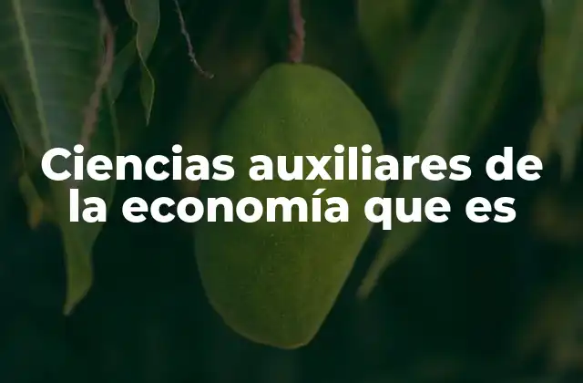 Ciencias Auxiliares de la Economía que es