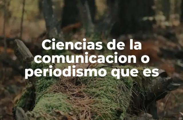 Ciencias de la Comunicacion o Periodismo que es 2 La relación entre la comunicación y el periodismo en la era digital
