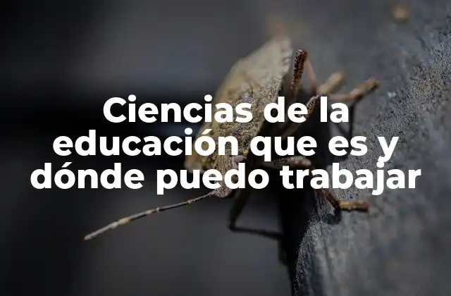 Ciencias de la Educación que es y Dónde Puedo Trabajar