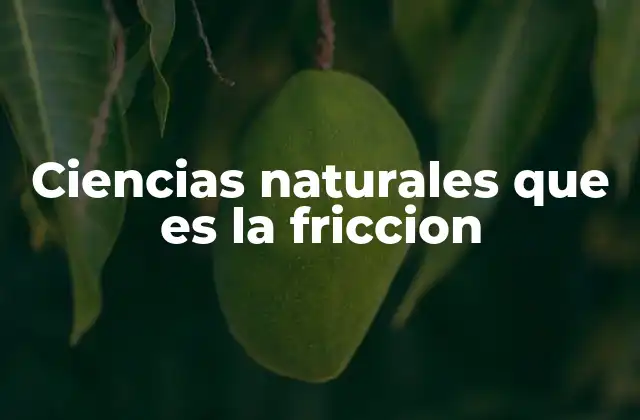 Ciencias Naturales que es la Friccion