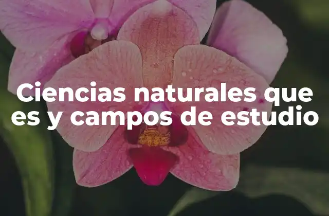 Ciencias Naturales que es y Campos de Estudio