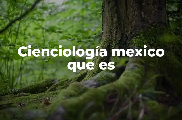 Cienciología Mexico que es 2 La presencia de la cienciología en el contexto religioso de México