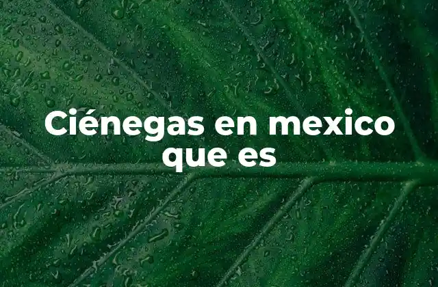 Ciénegas en Mexico que es