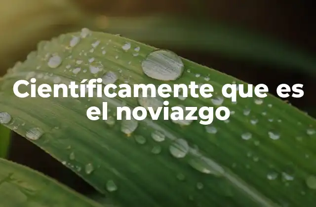 Científicamente que es el Noviazgo