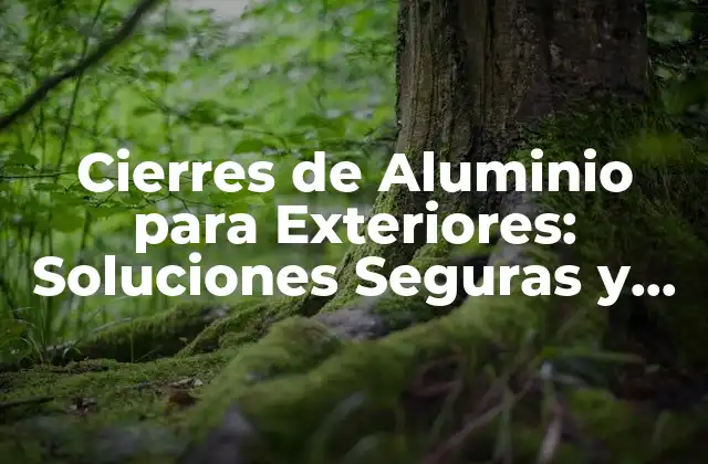 Cierres de Aluminio para Exteriores: Soluciones Seguras y Estéticas