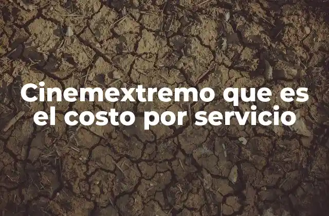 Cómo funciona el modelo de pago por servicio en Cinemextremo