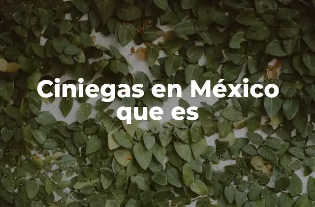 Ciniegas en México que es