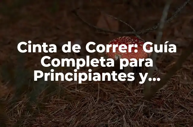 Cinta de Correr: Guía Completa para Principiantes y Avanzados