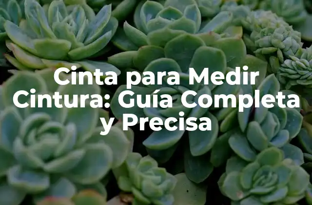 Cinta para Medir Cintura: Guía Completa y Precisa 2 ¿Por qué es Importante Medir la Cintura?