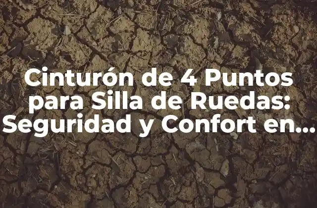 Cinturón de 4 Puntos para Silla de Ruedas: Seguridad y Confort en la Movilidad