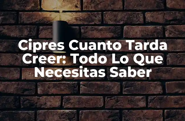 Cipres Cuanto Tarda Creer: Todo Lo que Necesitas Saber