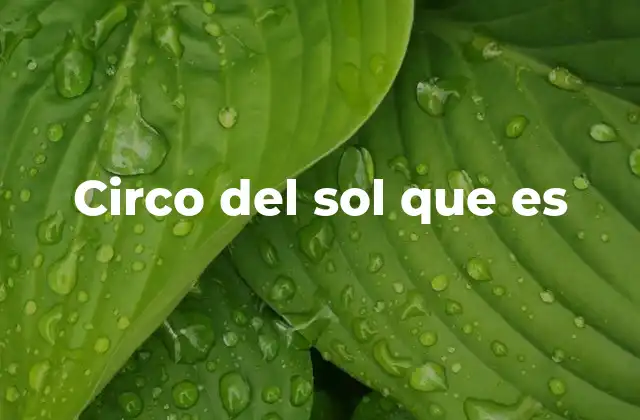 Circo Del Sol que es
