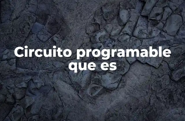 Circuito Programable que es