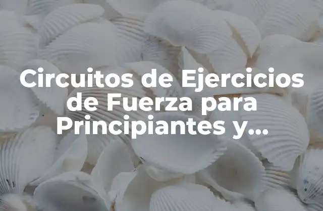 Circuitos de Ejercicios de Fuerza para Principiantes y Avanzados