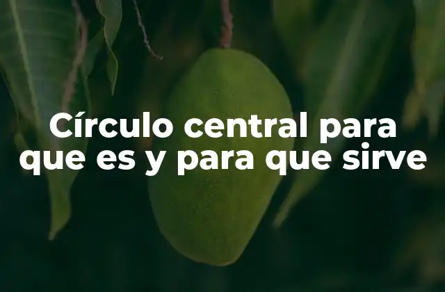 El papel del círculo central en la organización espacial