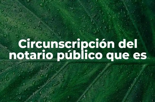 Circunscripción Del Notario Público que es