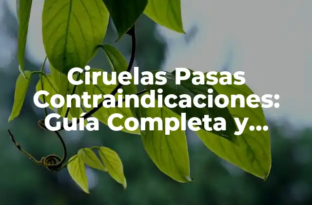 Ciruelas Pasas Contraindicaciones: Guía Completa y Actualizada