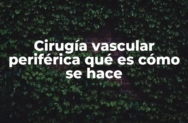 Cirugía Vascular Periférica Qué es Cómo Se Hace 2 El papel de los especialistas en vascularismo