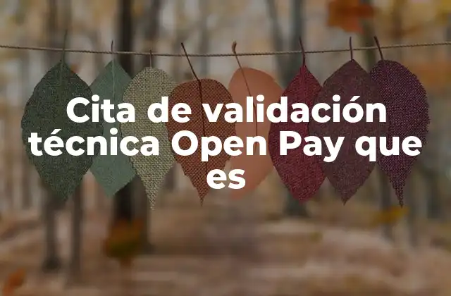 El proceso de integración antes de la validación técnica