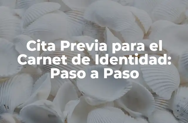 Cita Previa para el Carnet de Identidad: Paso a Paso