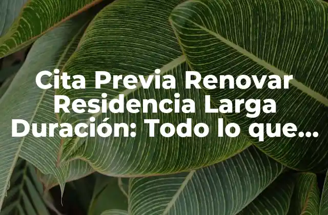 Cita Previa Renovar Residencia Larga Duración: Todo Lo que Necesitas Saber