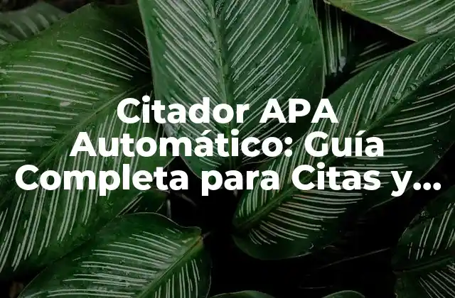 Citador Apa Automático: Guía Completa para Citas y Referencias