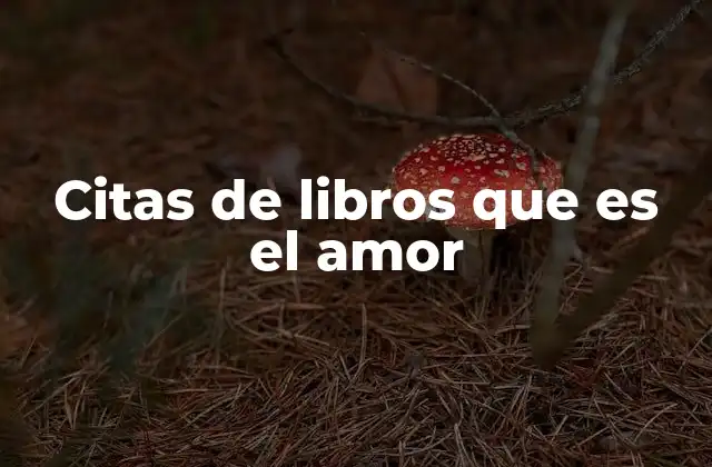Citas de Libros que es el Amor