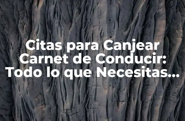 Citas para Canjear Carnet de Conducir: Todo Lo que Necesitas Saber