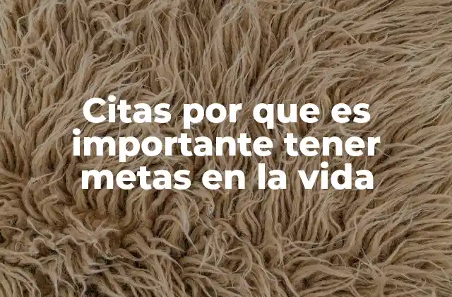 Citas por que es Importante Tener Metas en la Vida