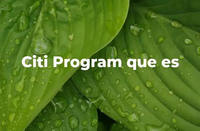 Citi Program que es