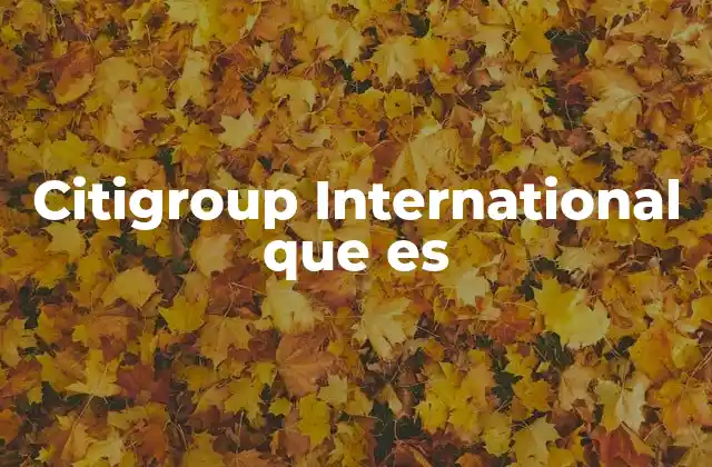 Citigroup International que es