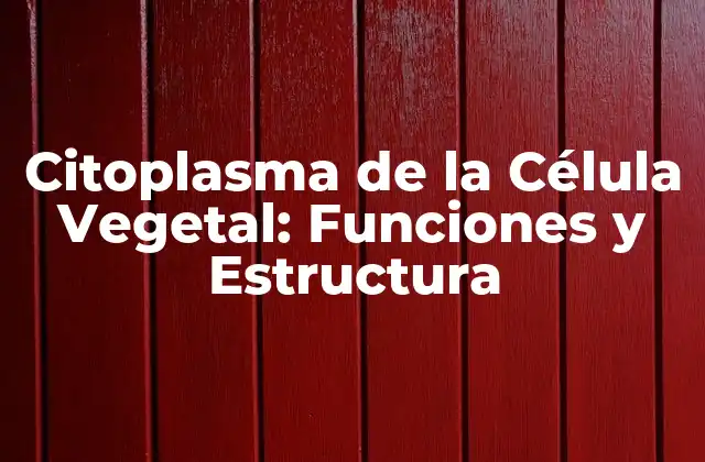 Citoplasma de la Célula Vegetal: Funciones y Estructura