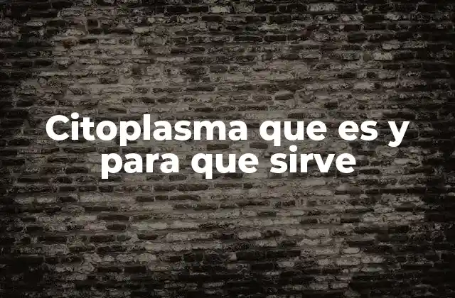 Citoplasma que es y para que Sirve