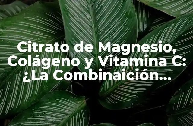 Citrato de Magnesio, Colágeno y Vitamina C: ¿la Combinaición Perfecta para una Salud Optima?