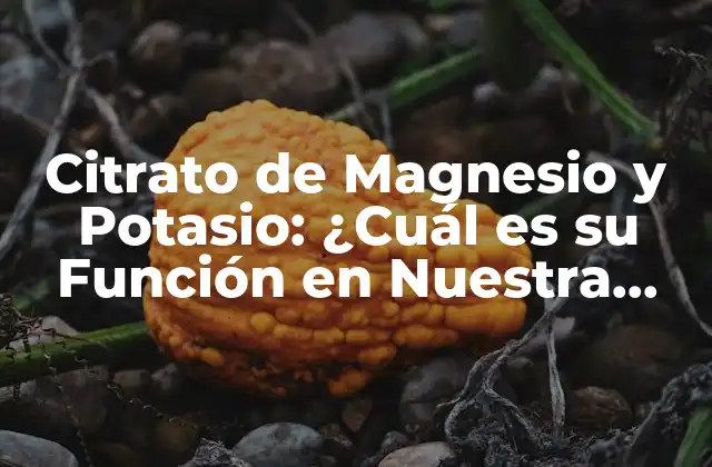 ¿Qué es el Citrato de Magnesio y Potasio?
