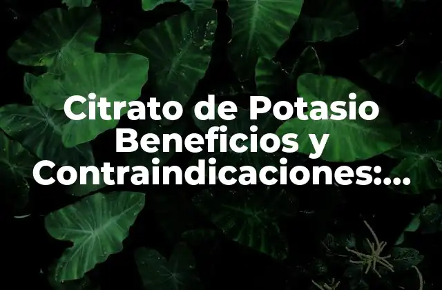 Citrato de Potasio Beneficios y Contraindicaciones: Guía Completa
