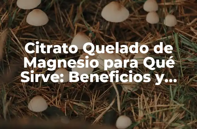 Citrato Quelado de Magnesio para Qué Sirve: Beneficios y Usos Del Suplemento