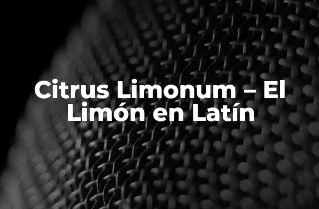 Citrus Limonum – el Limón en Latín