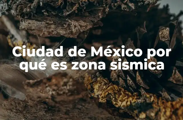 Ciudad de México por Qué es Zona Sismica
