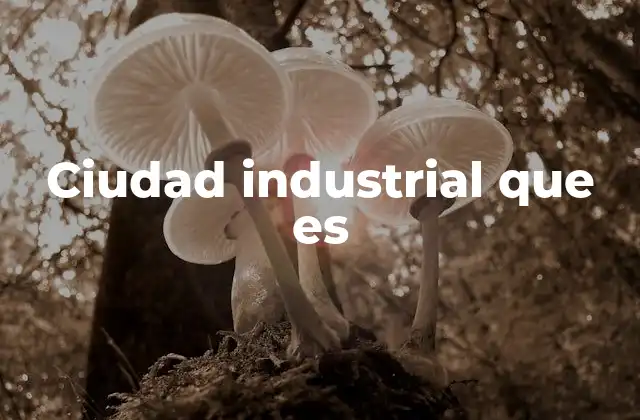 Ciudad Industrial que es 2 El rol de las ciudades industriales en el desarrollo económico