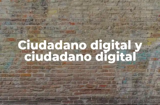Ciudadano Digital y Ciudadano Digital 2 La importancia de las habilidades digitales en el entorno moderno