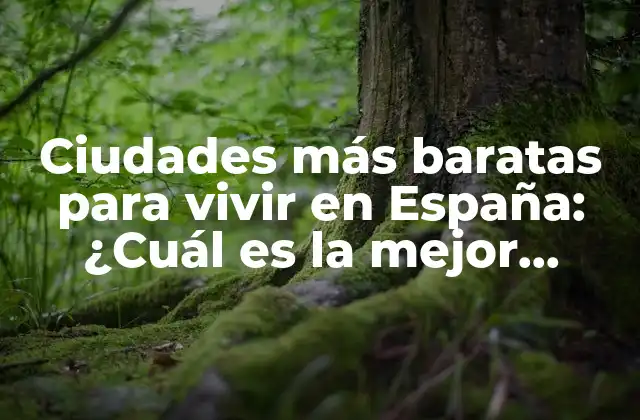 Ciudades Más Baratas para Vivir en España: ¿cuál es la Mejor Opción?