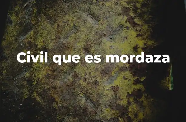 Civil que es Mordaza