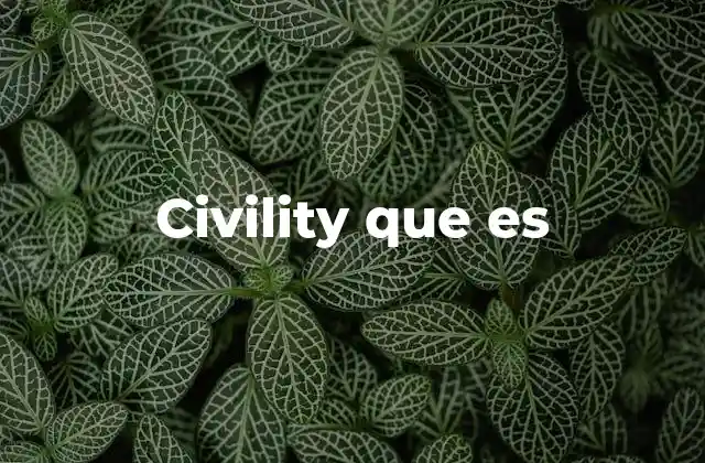 Civility que es