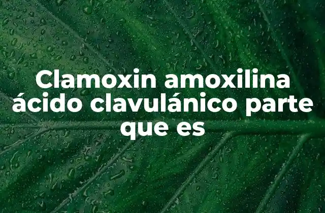 Clamoxin Amoxilina Ácido Clavulánico Parte que es