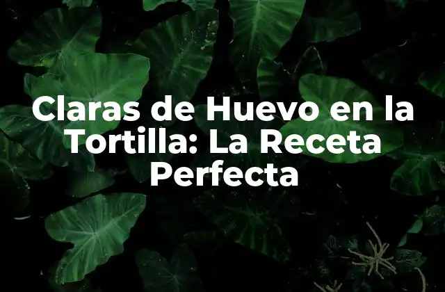 Claras de Huevo en la Tortilla: la Receta Perfecta