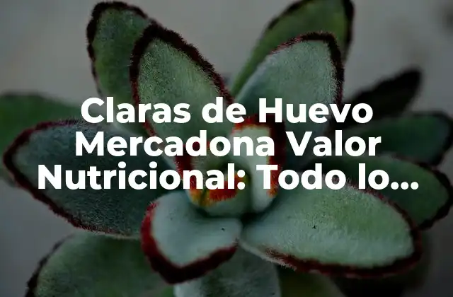 Claras de Huevo Mercadona Valor Nutricional: Todo Lo que Necesitas Saber