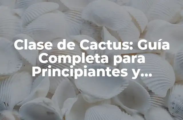 Clase de Cactus: Guía Completa para Principiantes y Expertos 2 Características Generales de la Clase de Cactus