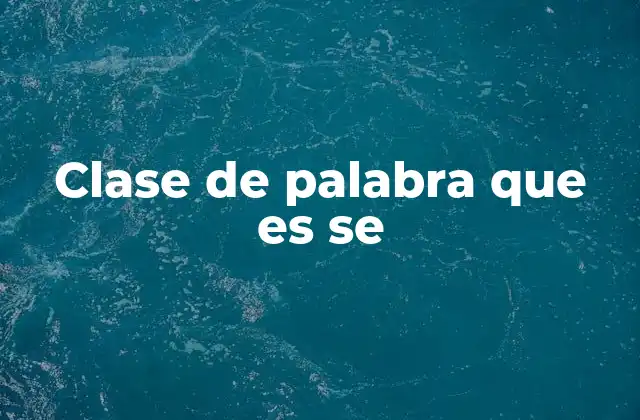 Clase de Palabra que es Se