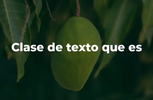 Clase de Texto que es